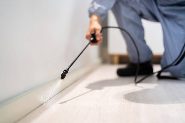 Licensed Termite Control service in Madison Heights, MI - Nex Pest Control