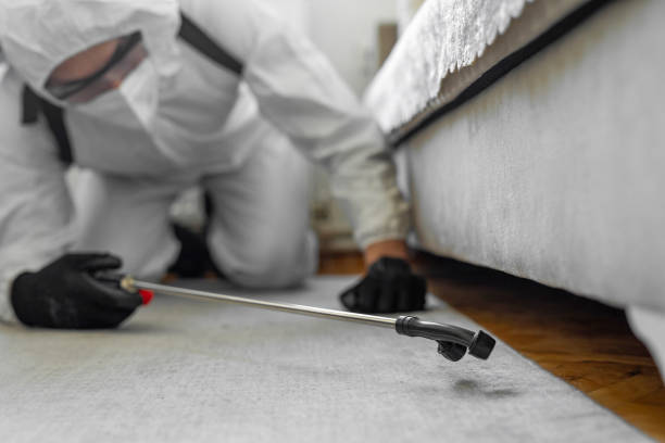 Professional Termite Control technician working in Madison Heights, MI