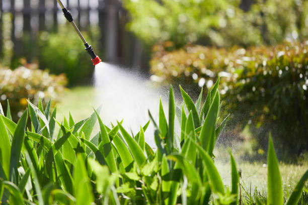 24/7 Emergency Termite Control experts in Madison Heights, MI