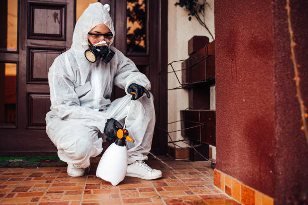Reliable Termite Control contractor in Madison Heights, MI by Nex Pest Control